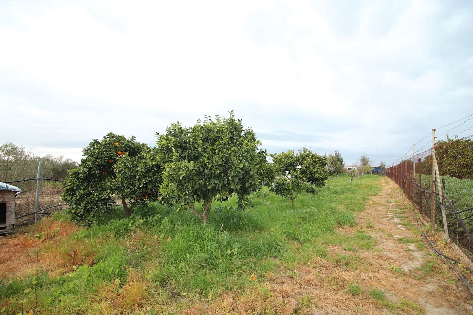 Finca/Country House for sale in Gibraleon - € 76,000 (Ref: 9720396)