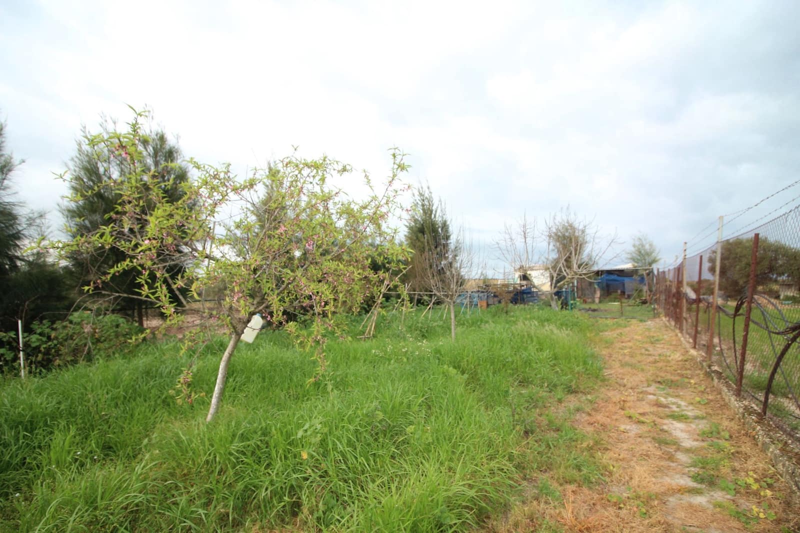 Finca/Country House for sale in Gibraleon - € 76,000 (Ref: 9720396)