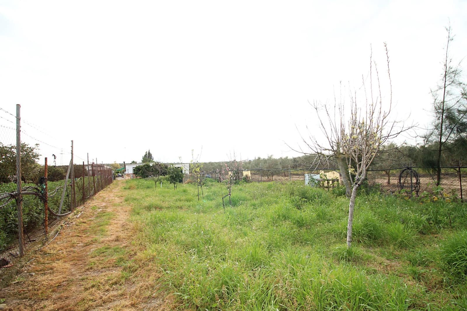 Finca/Country House for sale in Gibraleon - € 76,000 (Ref: 9720396)