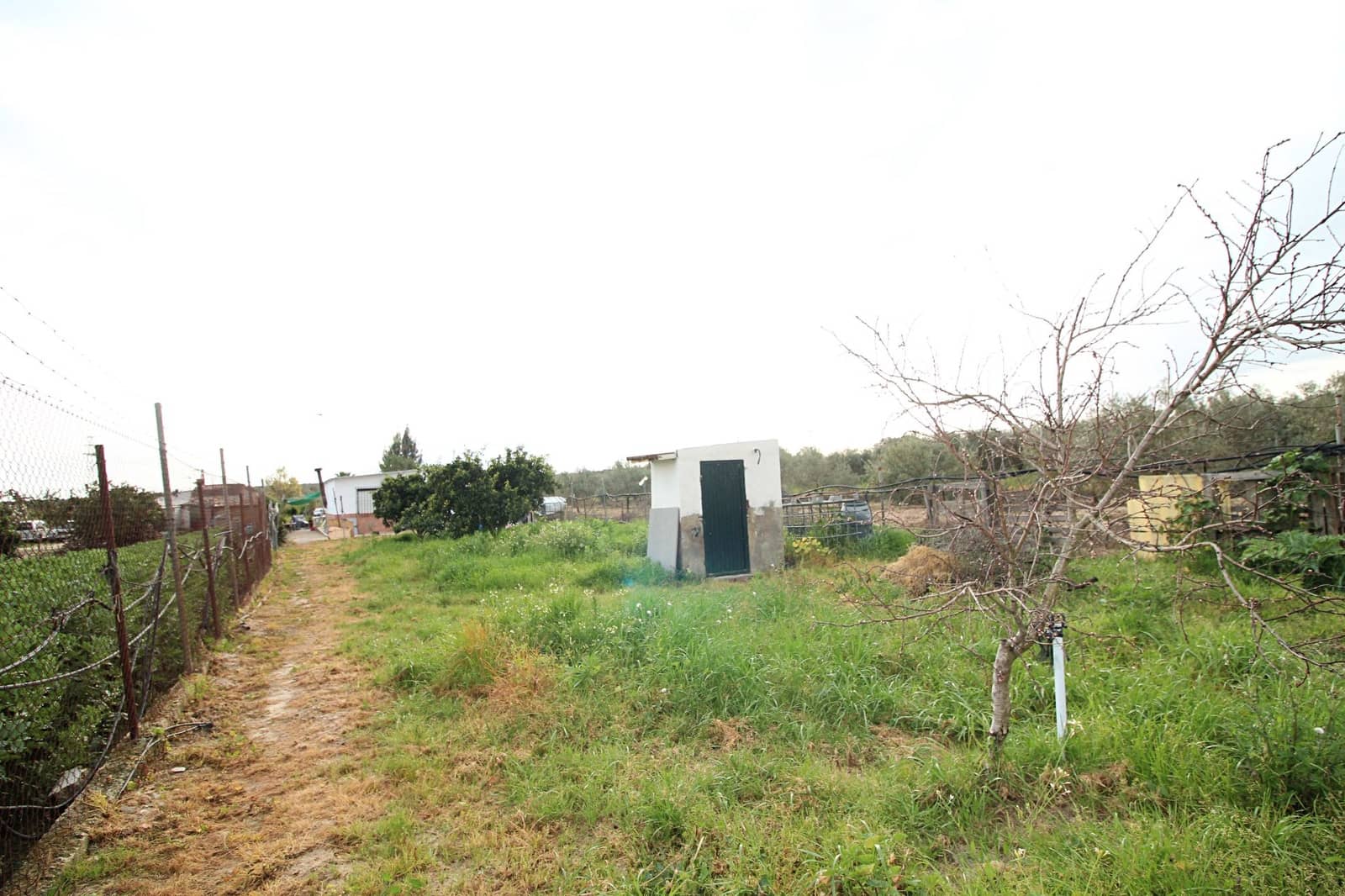 Finca/Country House for sale in Gibraleon - € 76,000 (Ref: 9720396)