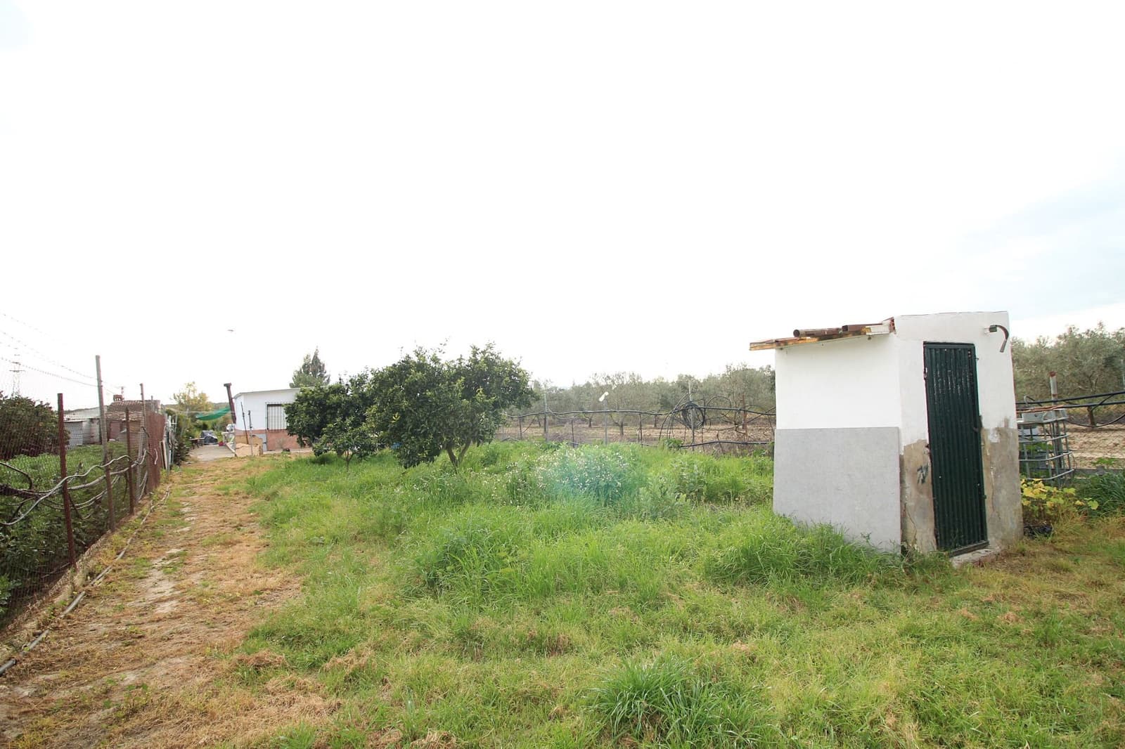 Finca/Country House for sale in Gibraleon - € 76,000 (Ref: 9720396)