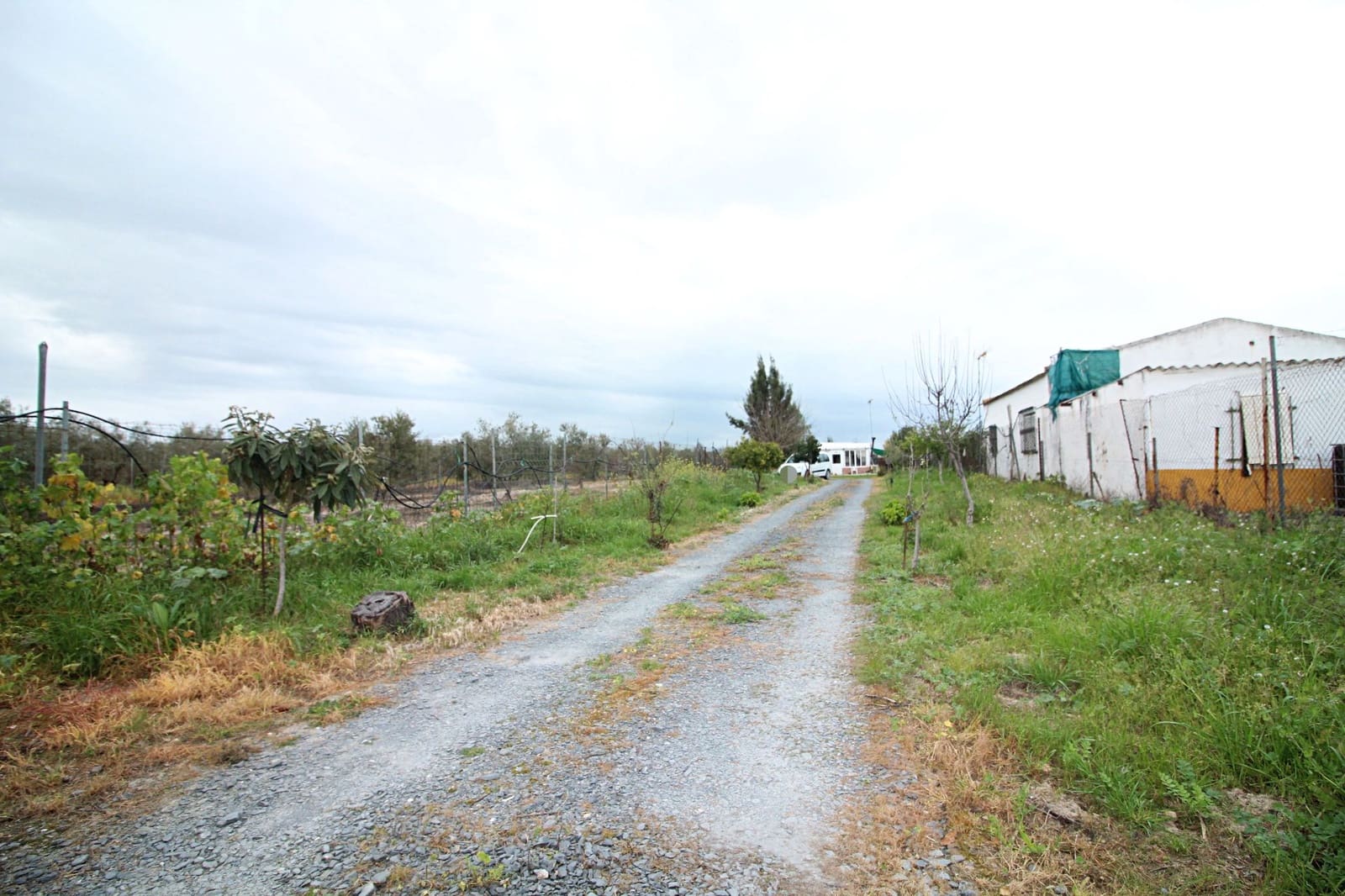 Finca/Country House for sale in Gibraleon - € 76,000 (Ref: 9720396)