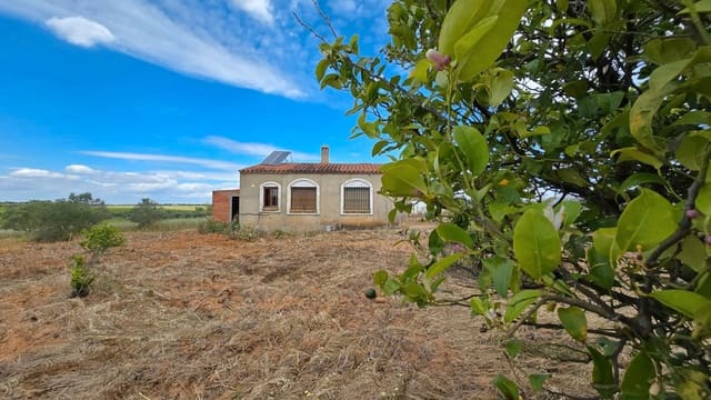 Finca/Casa Rural en Bollullos Par del Condado en venta - 54.000 € (Ref: 9720397)