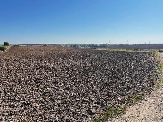 Mark till salu i Huelva stad - 276 900 € (Ref: 9770985)