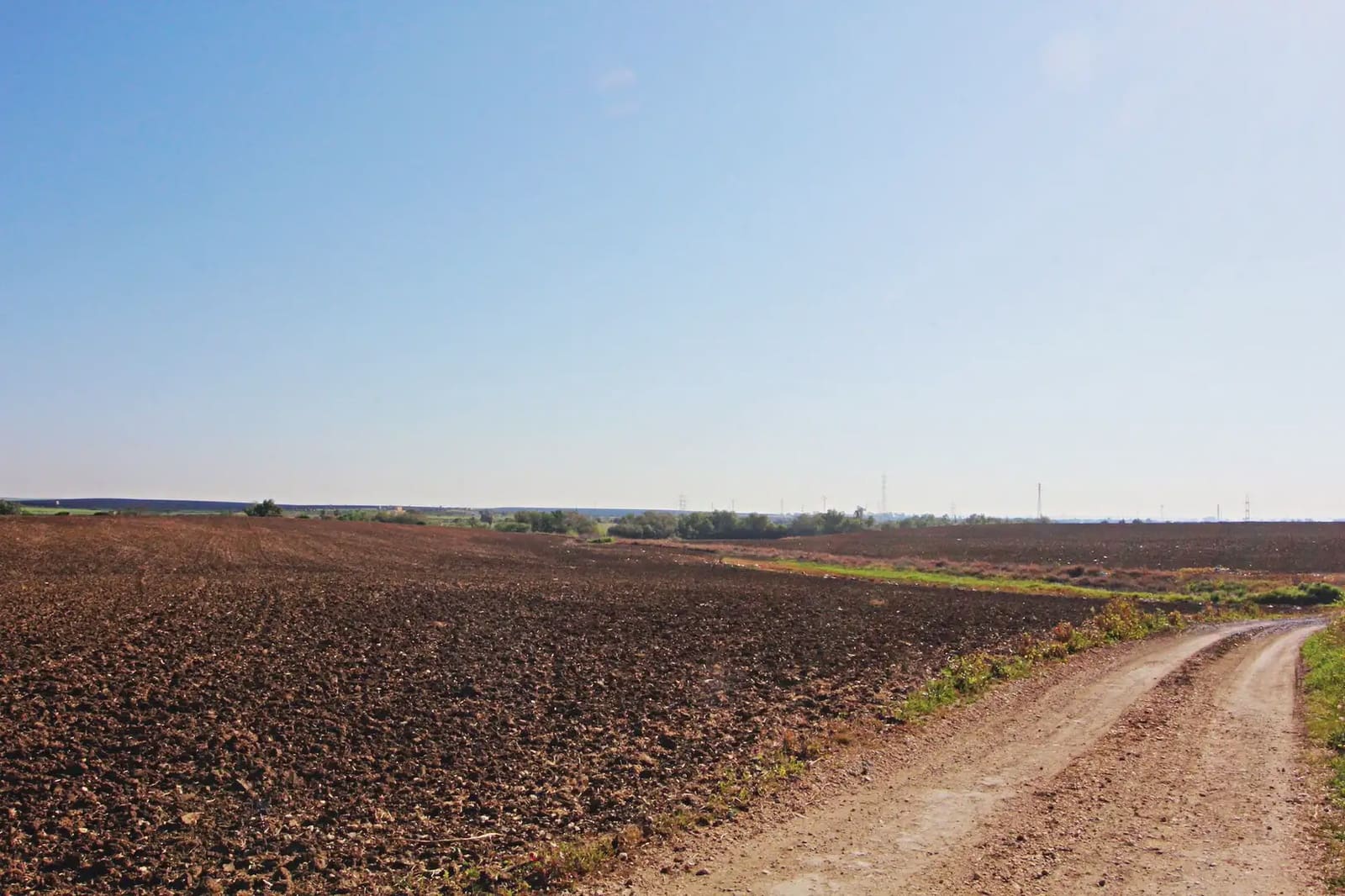 Mark till salu i Huelva stad - 276 900 € (Ref: 9770985)