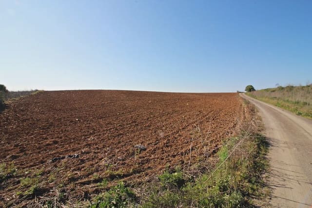 Mark till salu i Huelva stad - 276 900 € (Ref: 9770985)