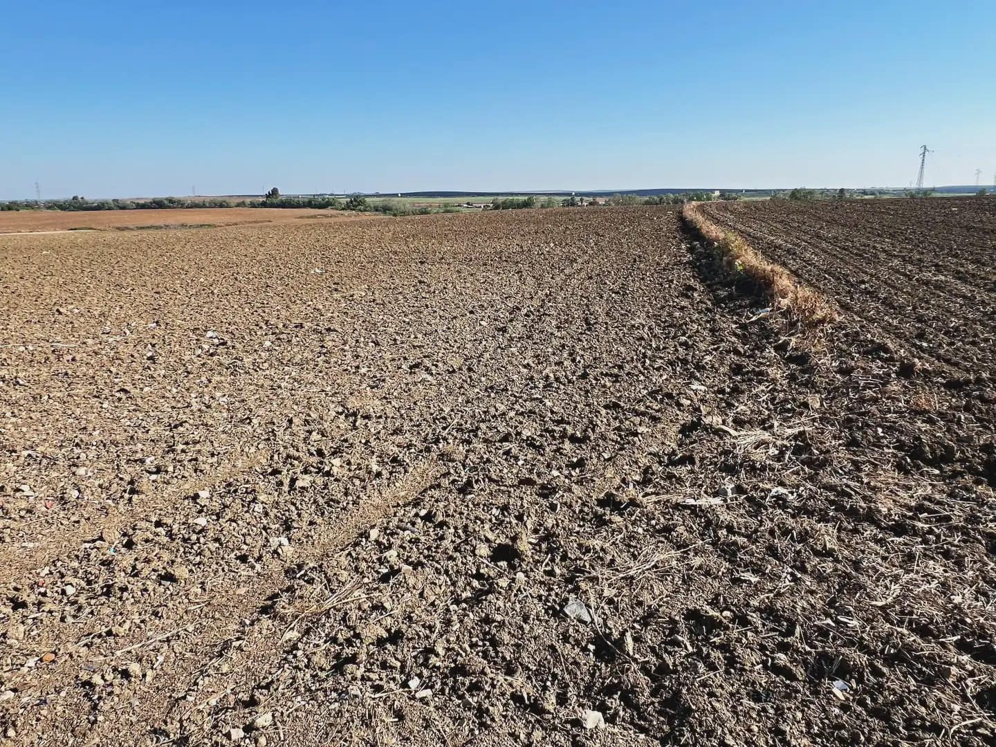 Mark till salu i Huelva stad - 276 900 € (Ref: 9770985)