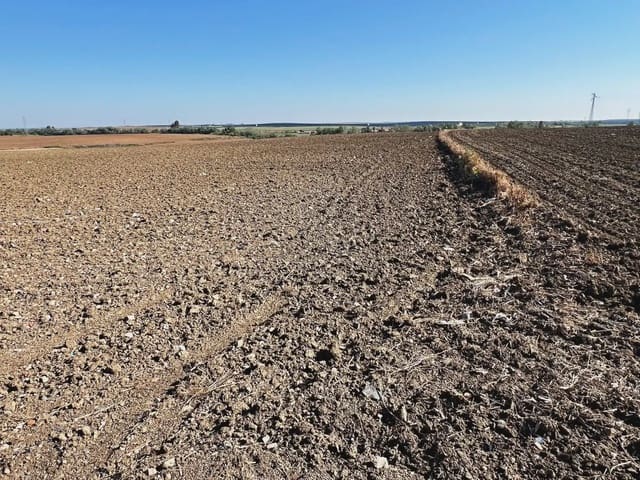 Mark till salu i Huelva stad - 276 900 € (Ref: 9770985)