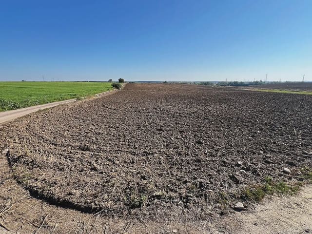 Mark till salu i Huelva stad - 276 900 € (Ref: 9770985)