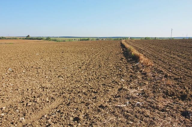 Mark till salu i Huelva stad - 276 900 € (Ref: 9770985)