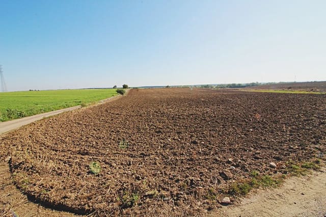 Mark till salu i Huelva stad - 276 900 € (Ref: 9770985)