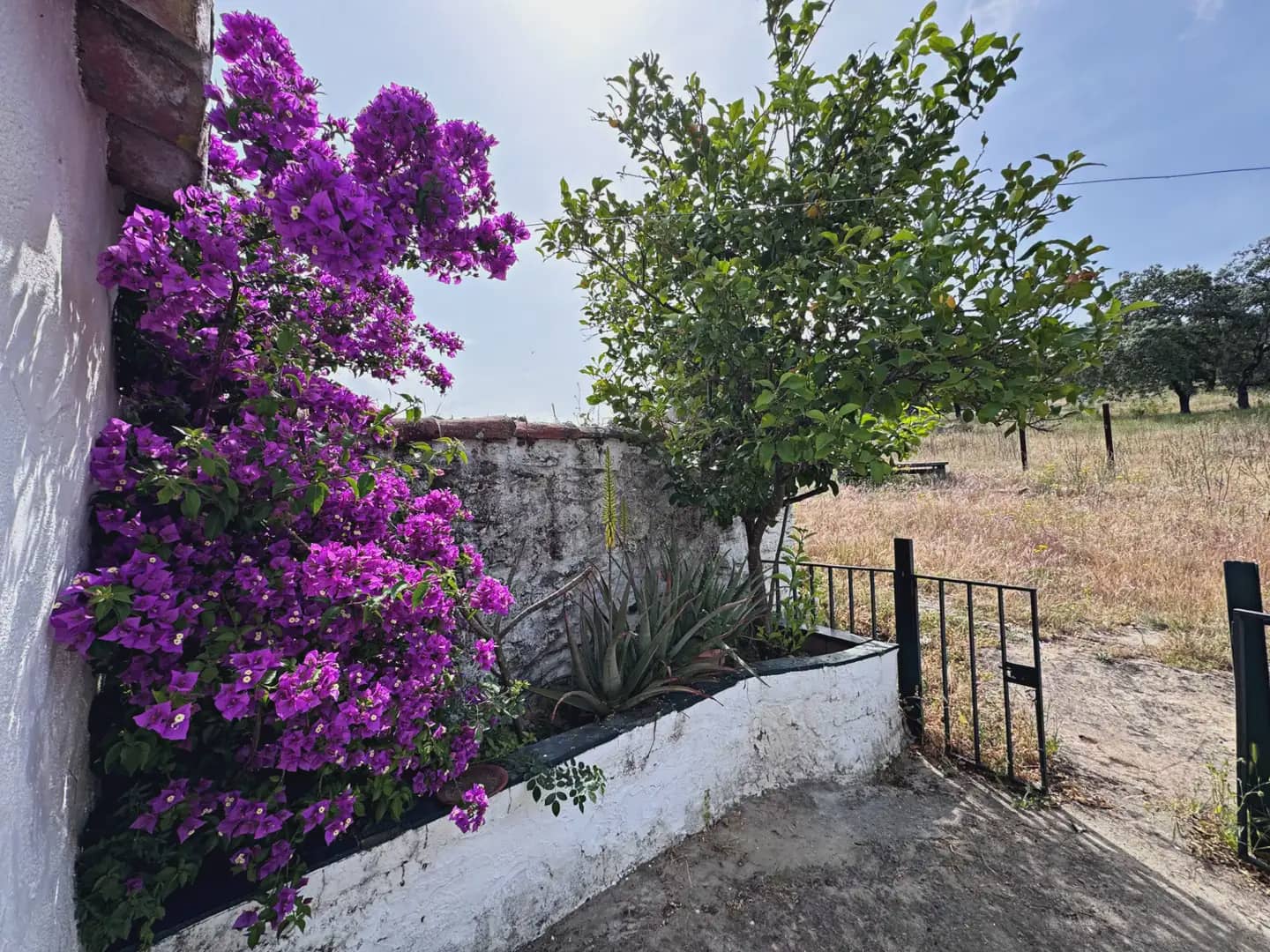 Finca/Casa di Campagna in vendita in El Cerro de Andevalo - 69.900 € (Rif: 9807444)