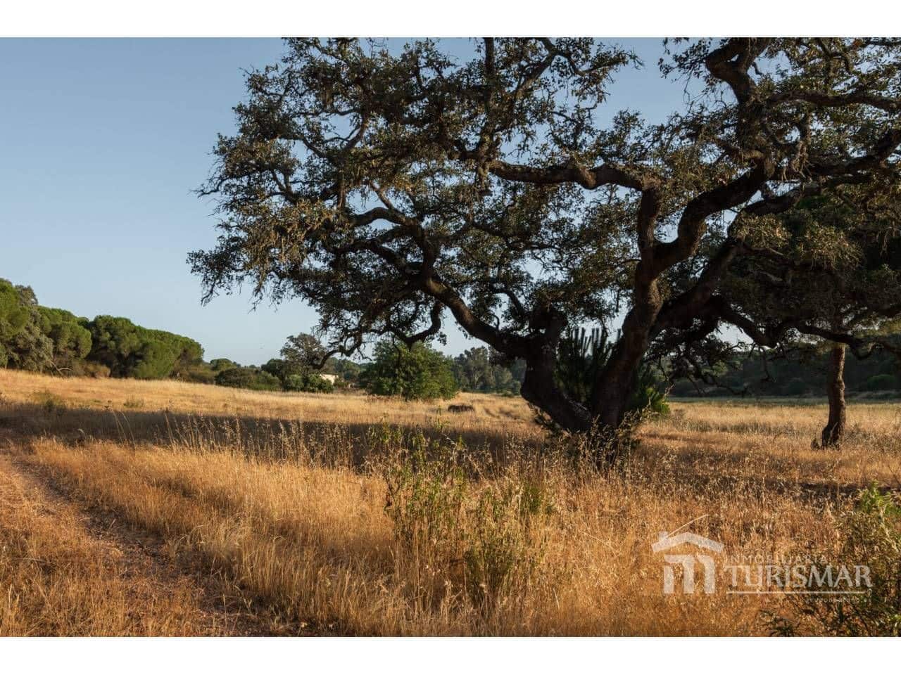 Finca/Country House for sale in Ayamonte - € 1,400,000 (Ref: 9443600)