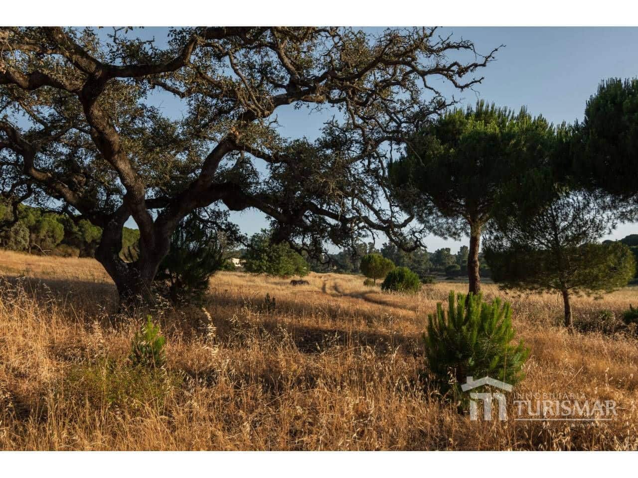 Finca/Country House for sale in Ayamonte - € 1,400,000 (Ref: 9443600)