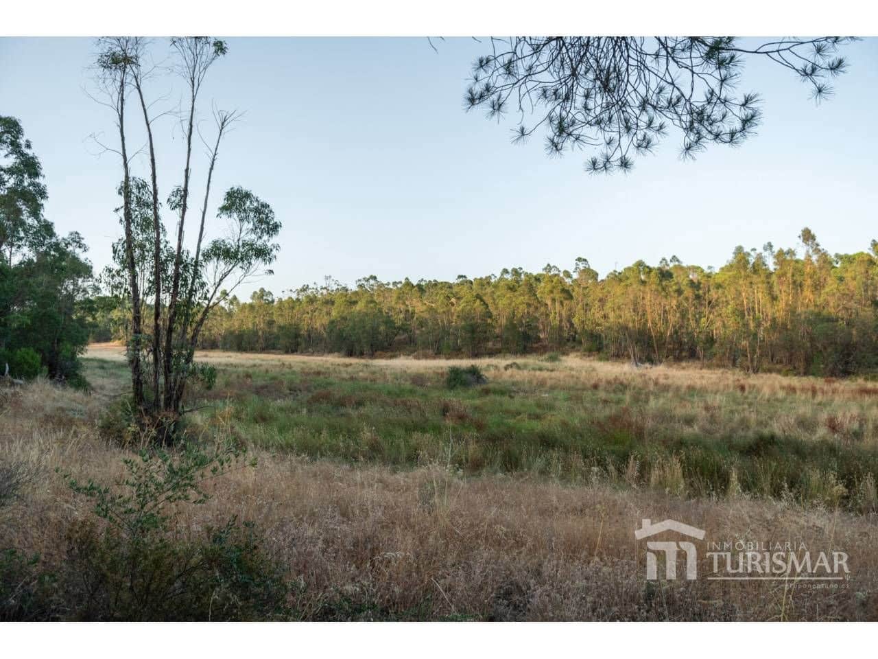 Finca/Country House for sale in Ayamonte - € 1,400,000 (Ref: 9443600)