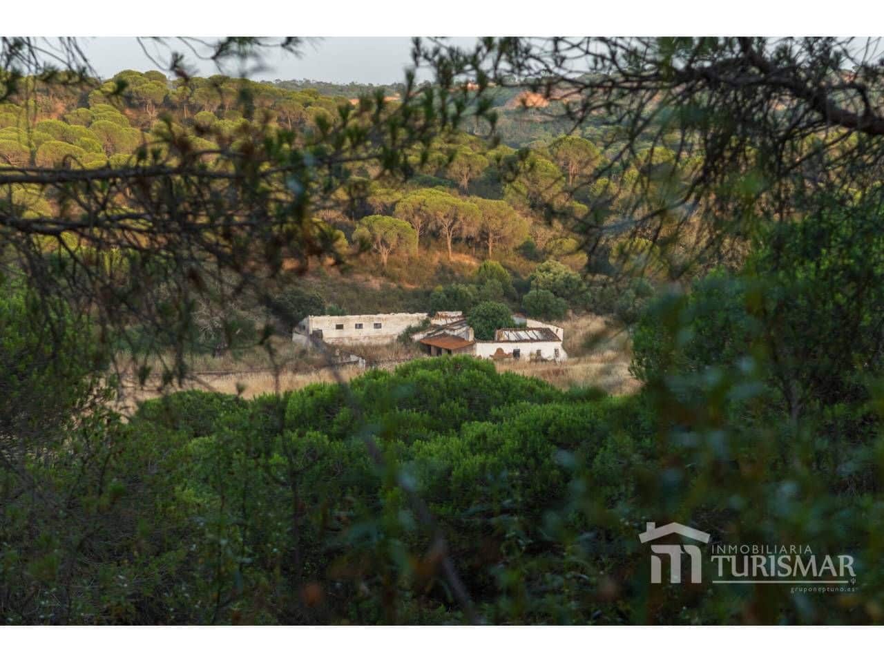 Finca/Country House for sale in Ayamonte - € 1,400,000 (Ref: 9443600)