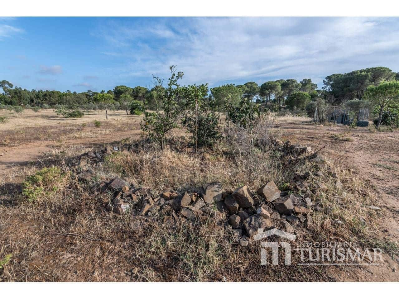 4 bedroom Finca/Country House for sale in Lepe with garage - € 286,000 (Ref: 9443608)