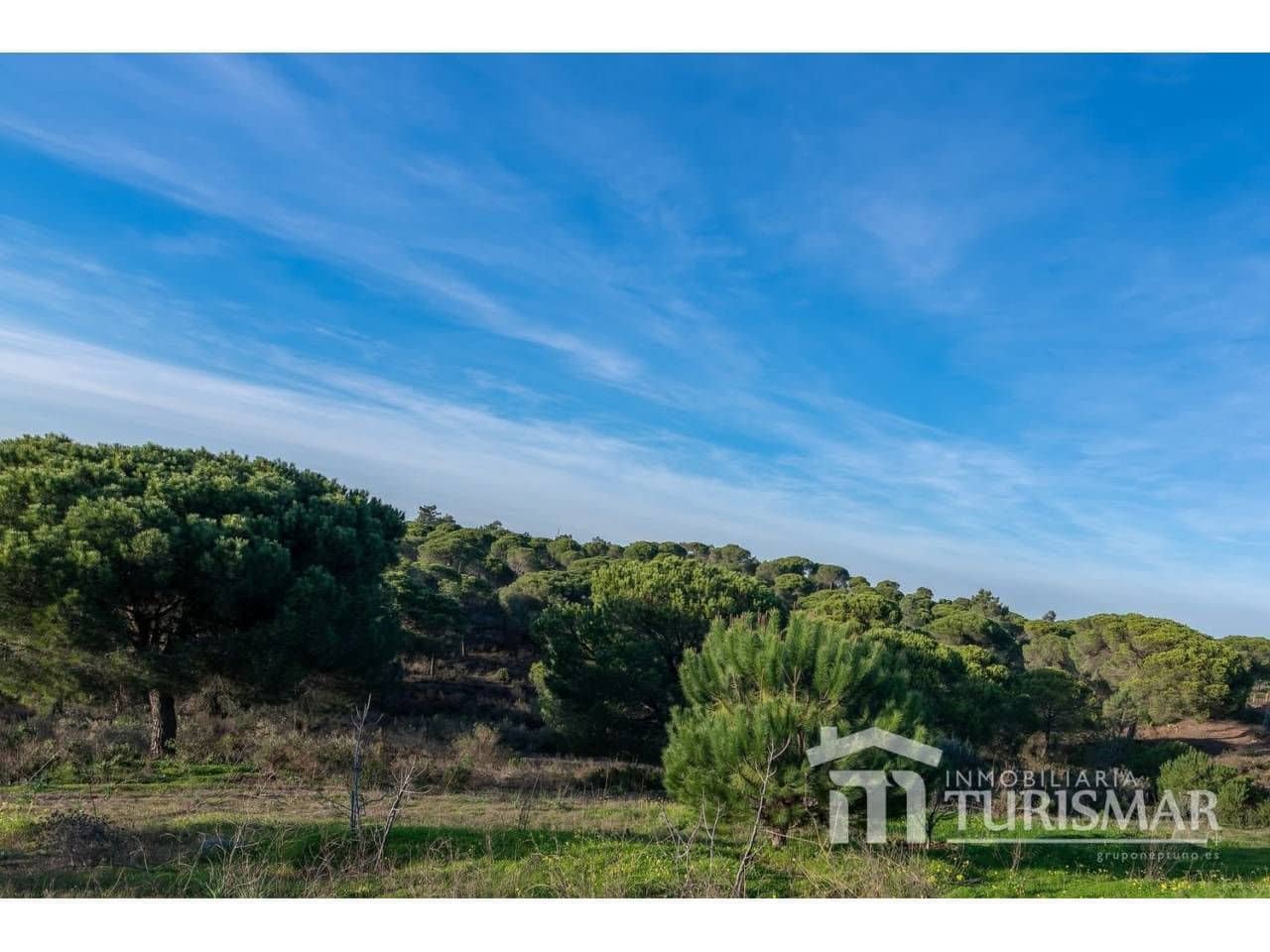 4 bedroom Finca/Country House for sale in Ayamonte - € 420,000 (Ref: 9443632)