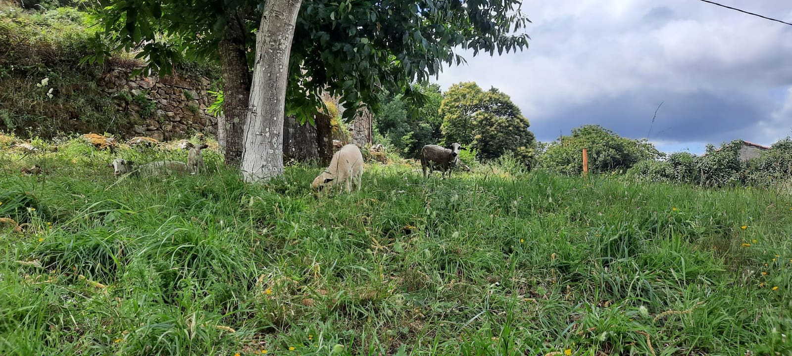 3 soverom Villa til leie i Os Peares - € 1 200 (Ref: 9432504)