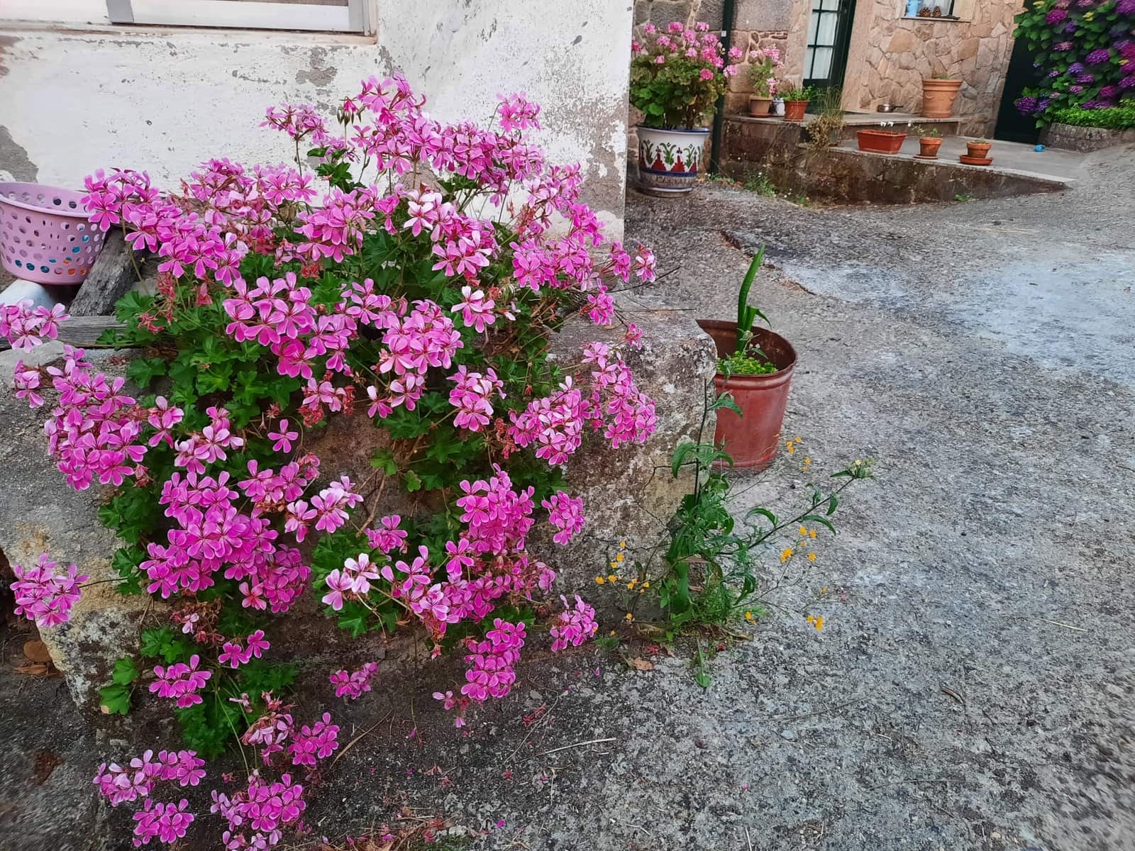 3 soverom Villa til leie i Os Peares - € 1 200 (Ref: 9432504)