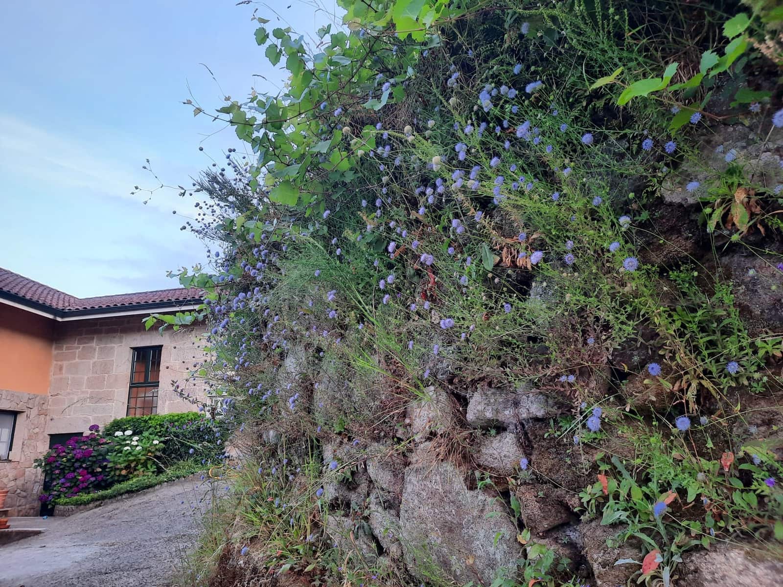 3 soverom Villa til leie i Os Peares - € 1 200 (Ref: 9432504)