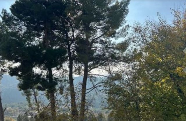 Ruïne te koop in Macastre - € 68.000 (Ref: 9583445)