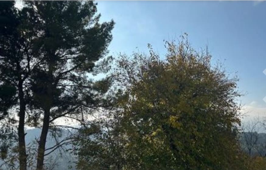 Ruin for sale in Macastre - € 68,000 (Ref: 9583445)