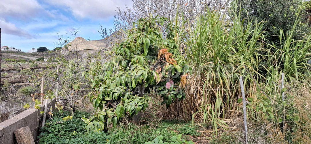 3 bedroom Townhouse for sale in La Camella - € 699,000 (Ref: 9739194)