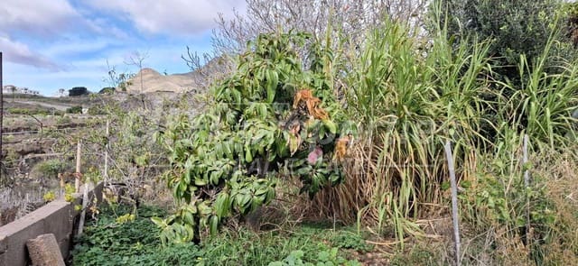 3 Zimmer Haus zu verkaufen in La Camella, Arona - 699.000 € (Ref: 9739194)