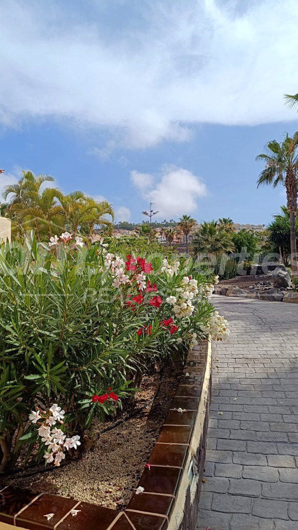 1 bedroom Apartment for sale in Chayofa with garage - € 298,000 (Ref: 9859669)