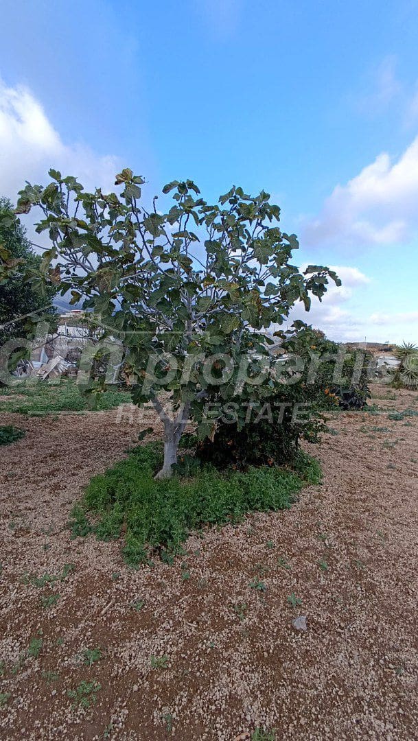 3 bedroom Townhouse for sale in Arico - € 342,000 (Ref: 9861698)