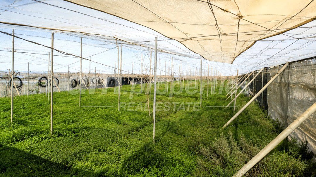 Undeveloped Land for sale in Granadilla de Abona - € 330,000 (Ref: 9939583)