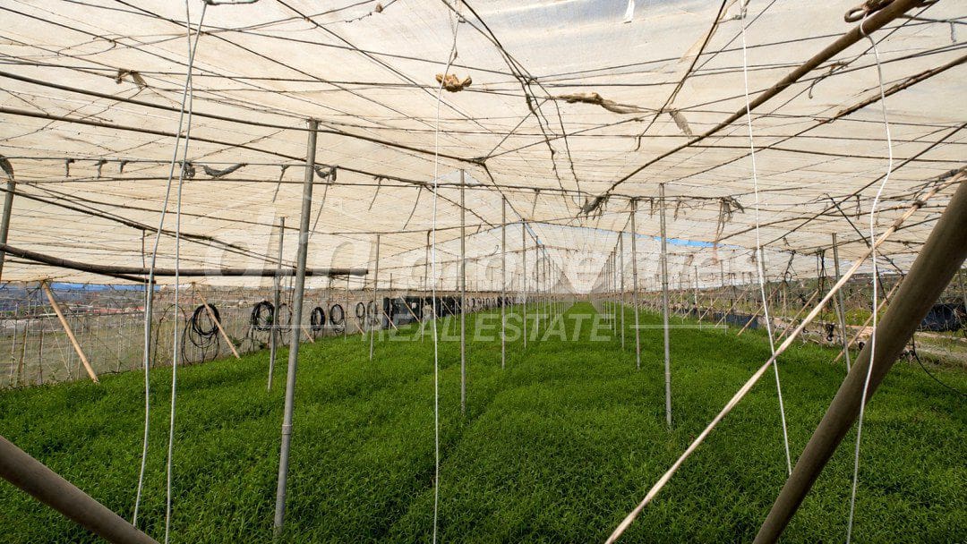 Undeveloped Land for sale in Granadilla de Abona - € 330,000 (Ref: 9939583)