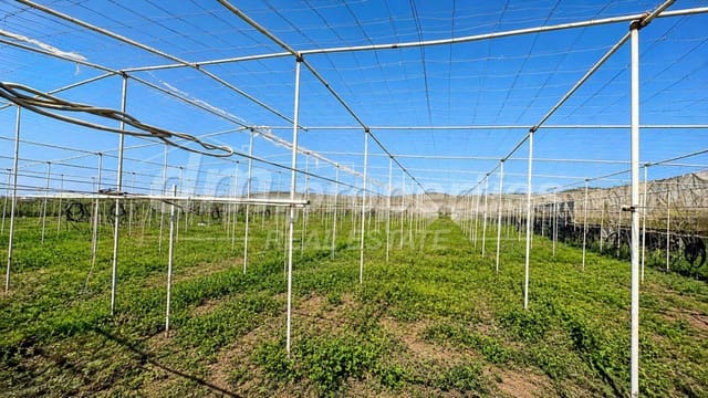 Terreno/Finca Rústica en Granadilla de Abona en venta - 330.000 € (Ref: 9939583)