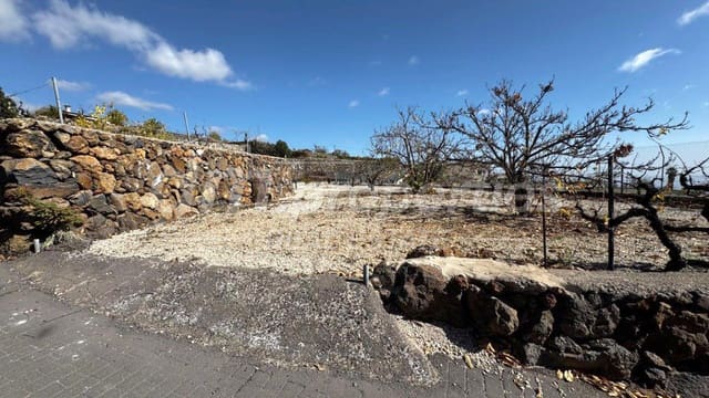 2 soveværelse Finca/Landehus til salg i Cruz de Tea, Granadilla de Abona - € 425.000 (Ref: 9986521)