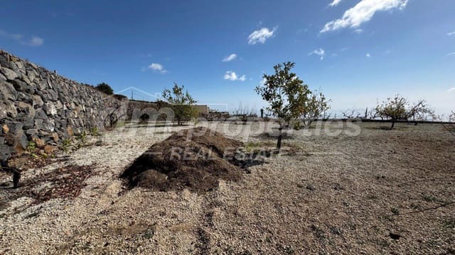 2 soveværelse Finca/Landehus til salg i Cruz de Tea, Granadilla de Abona - € 425.000 (Ref: 9986521)