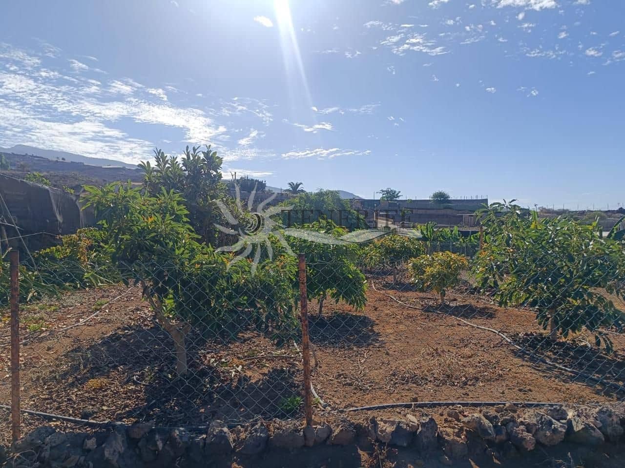 3 bedroom Finca/Country House for sale in Guia de Isora with pool garage - € 950,000 (Ref: 9459383)