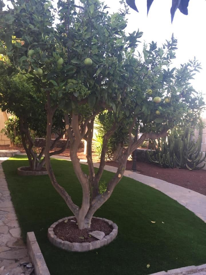 5 camera da letto Villa in vendita in San Miguel de Abona con piscina garage - 980.000 € (Rif: 9459396)