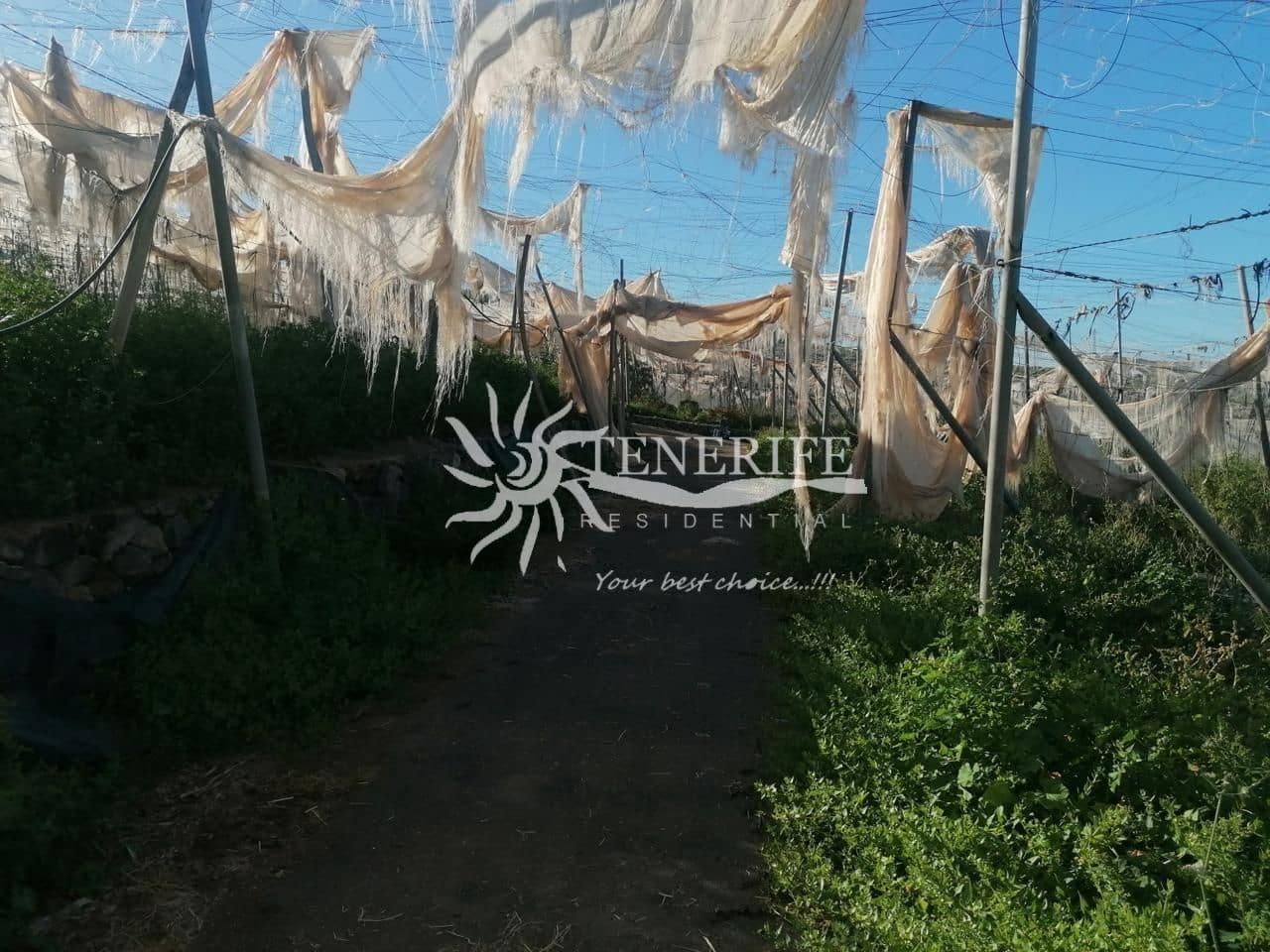 Finca/Country House for sale in Guia de Isora - € 315,000 (Ref: 9459407)