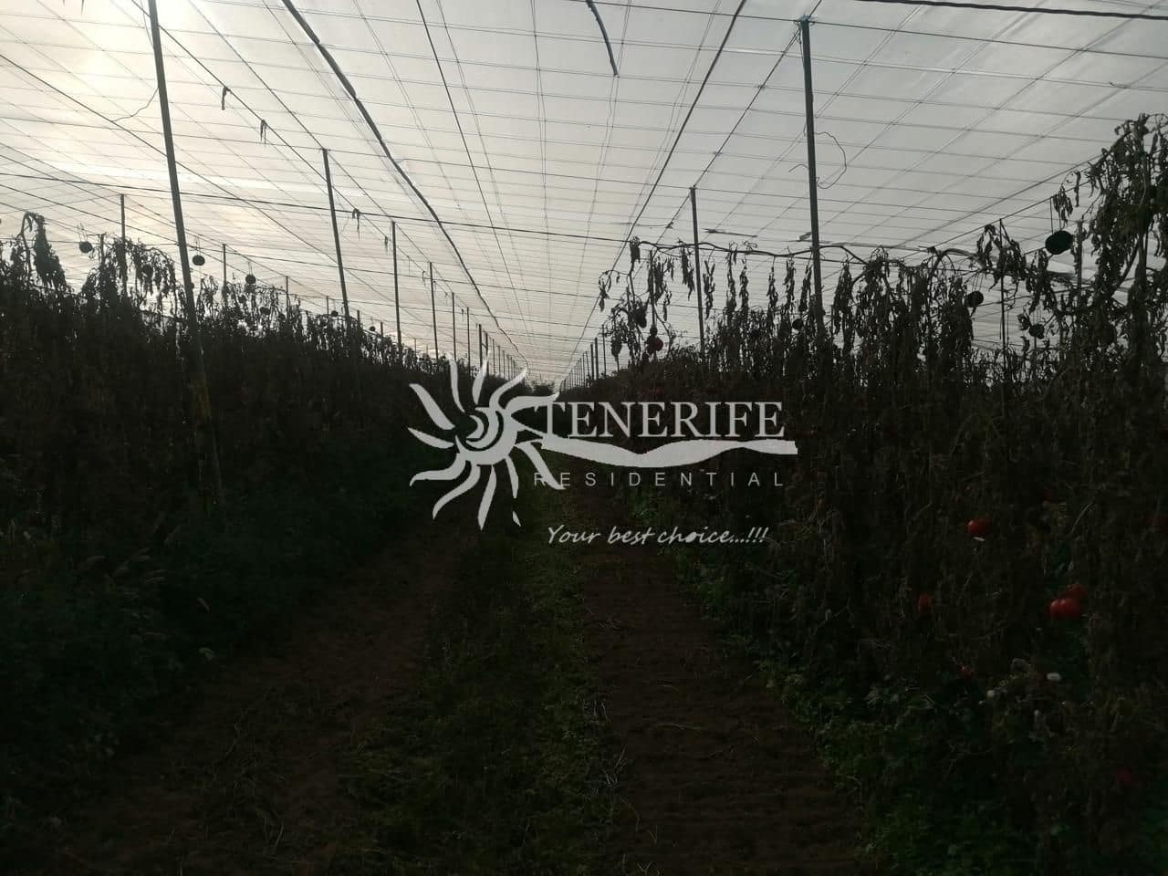 Finca/Country House for sale in Guia de Isora - € 315,000 (Ref: 9459407)