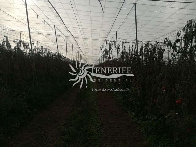 Finca/Landhuis te koop in Guía de Isora - € 315.000 (Ref: 9459407)