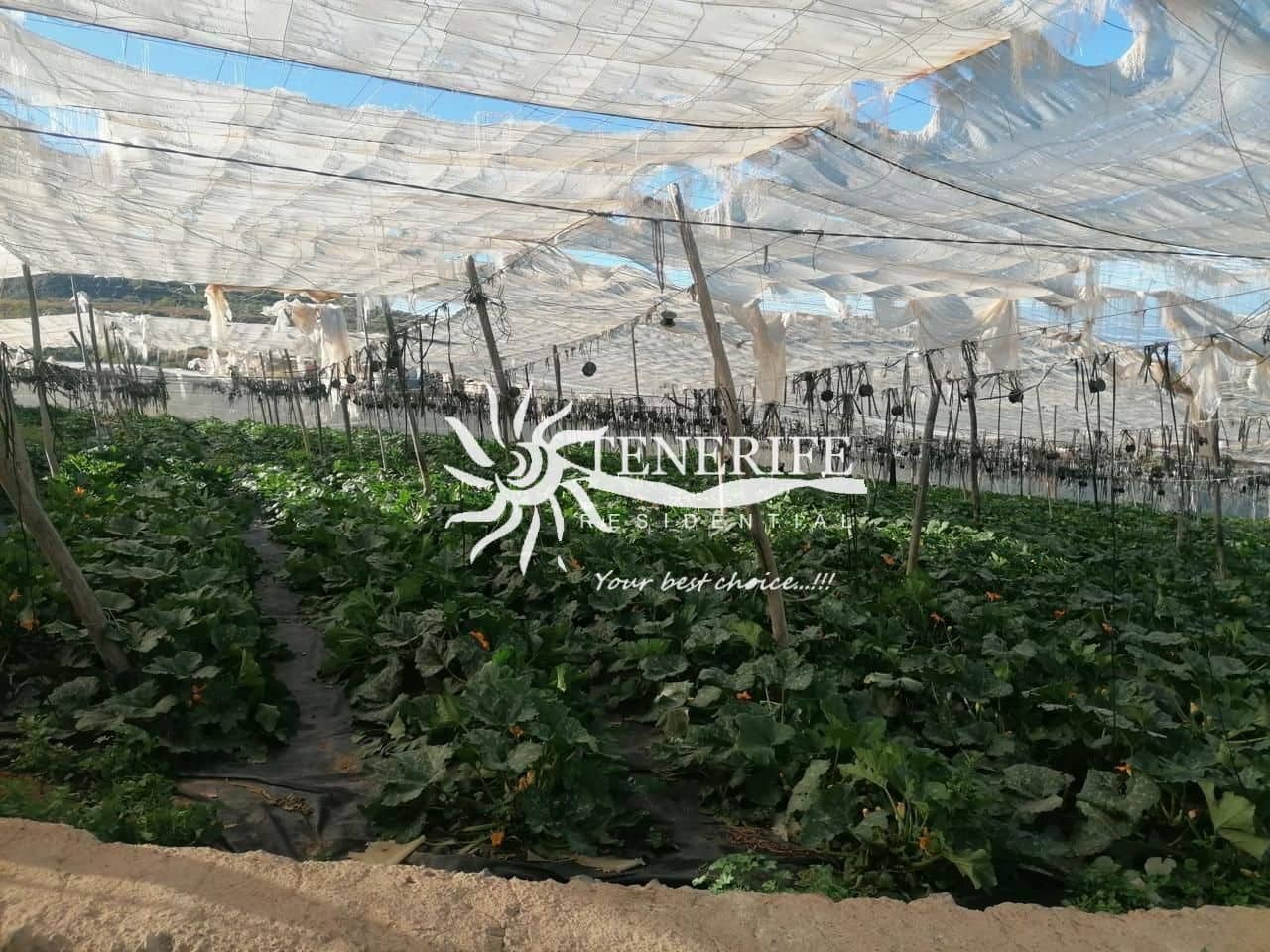 Solar/Parcela en Tejina de Guia de Isora en venta - 400.000 € (Ref: 9459408)