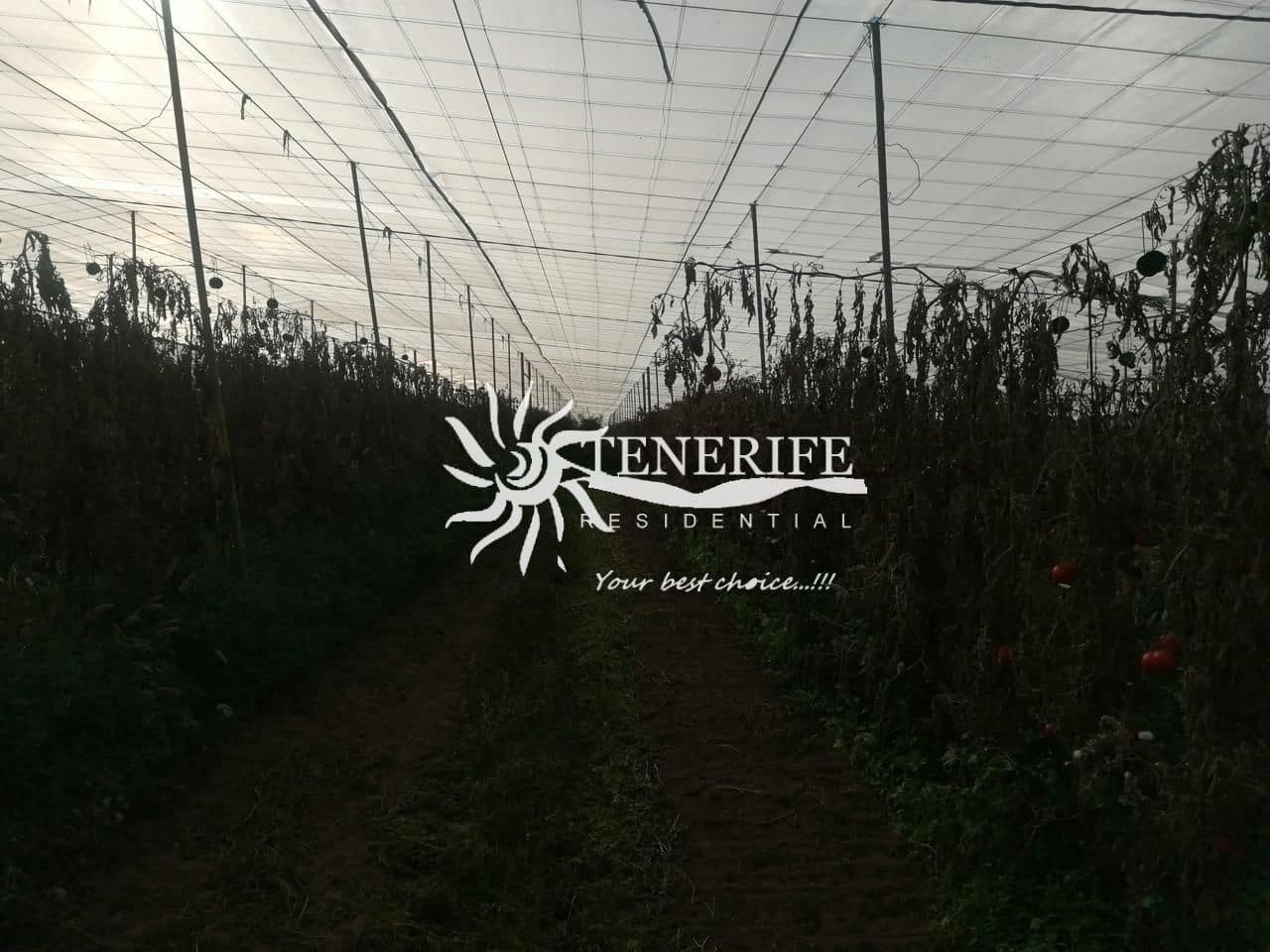 Solar/Parcela en Tejina de Guia de Isora en venta - 400.000 € (Ref: 9459408)