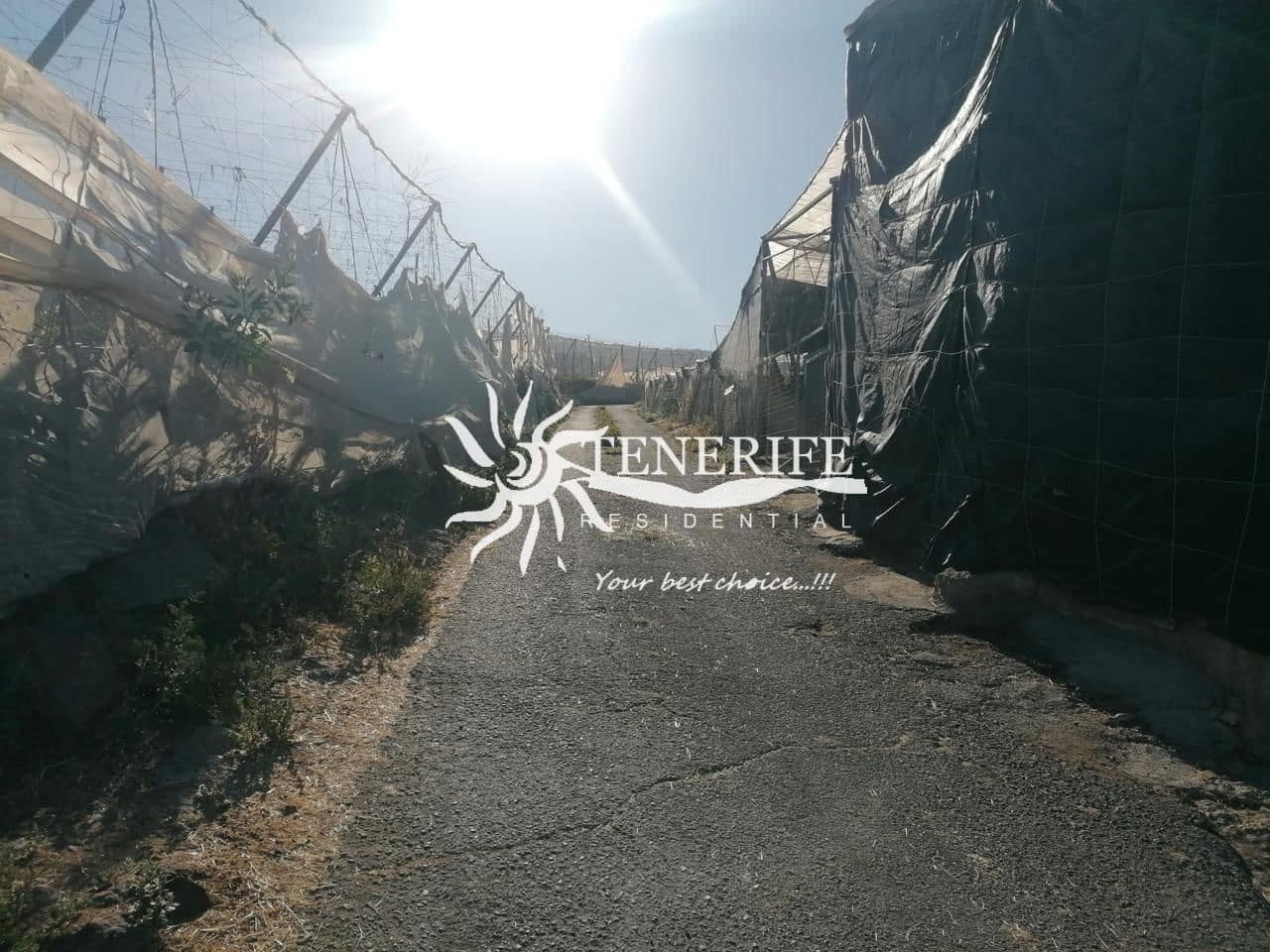 Solar/Parcela en Tejina de Guia de Isora en venta - 400.000 € (Ref: 9459408)