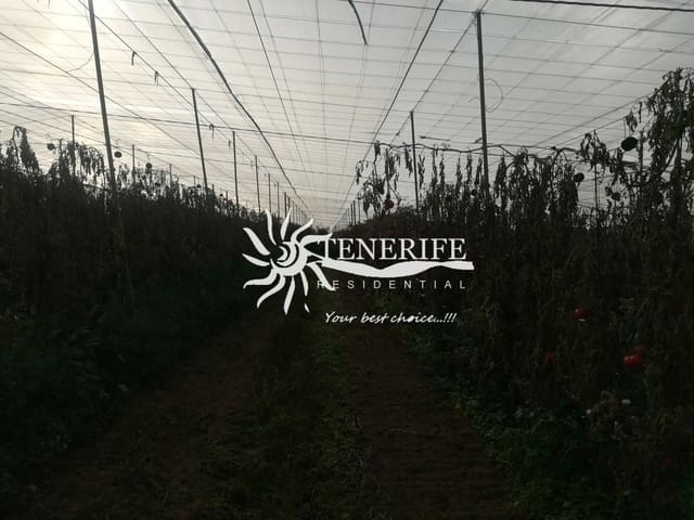 Solar/Parcela en Tejina de Guia de Isora, Guía de Isora en venta - 400.000 € (Ref: 9459408)