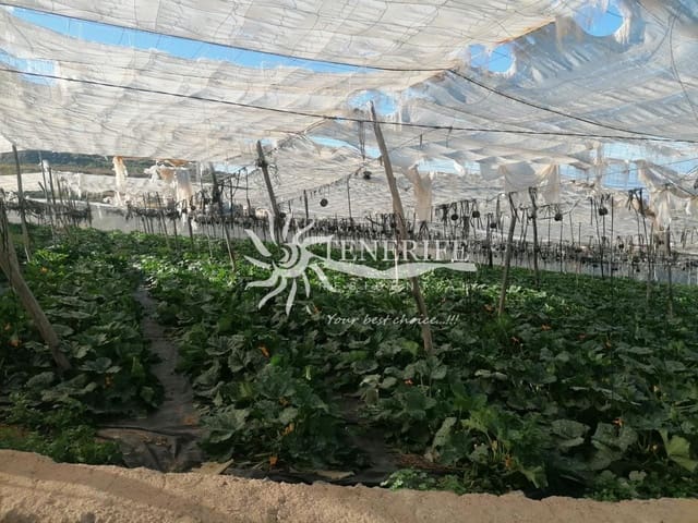 Byggegrund til salg i Tejina de Guia de Isora, Guía de Isora - € 350.000 (Ref: 9459417)