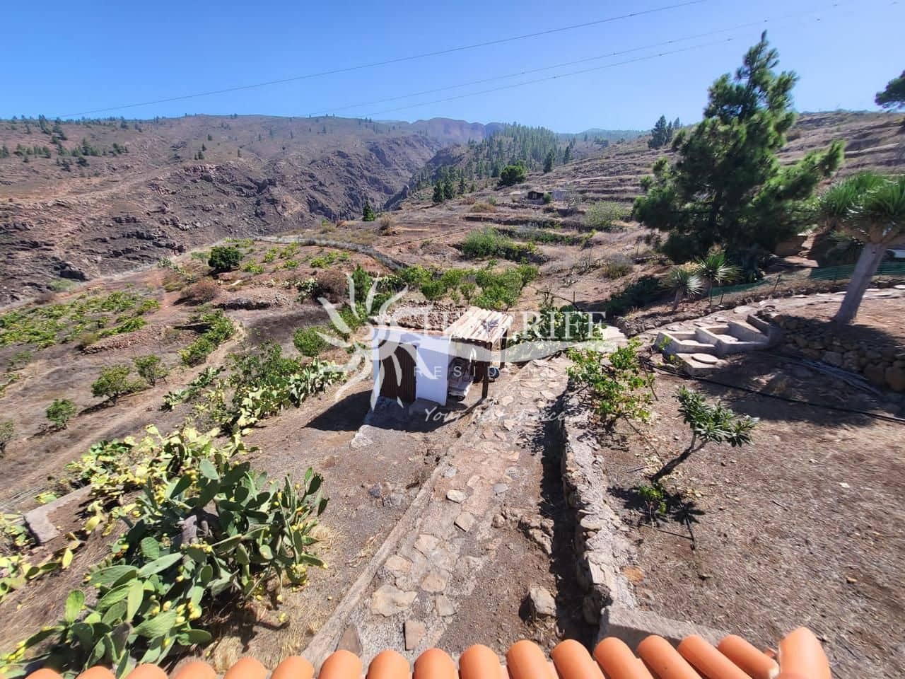 4 chambre Finca/Maison de Campagne à vendre à Adeje - 890 000 € (Ref: 9459434)