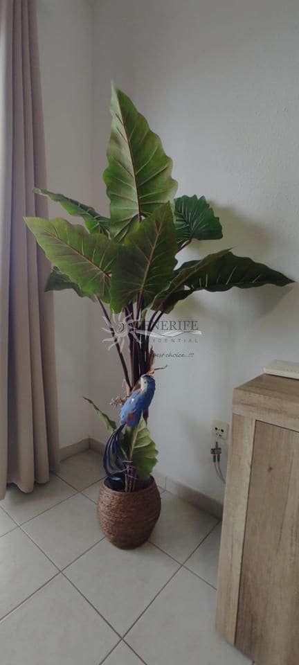 1 bedroom Flat for sale in Costa del Silencio - € 231,000 (Ref: 9733853)