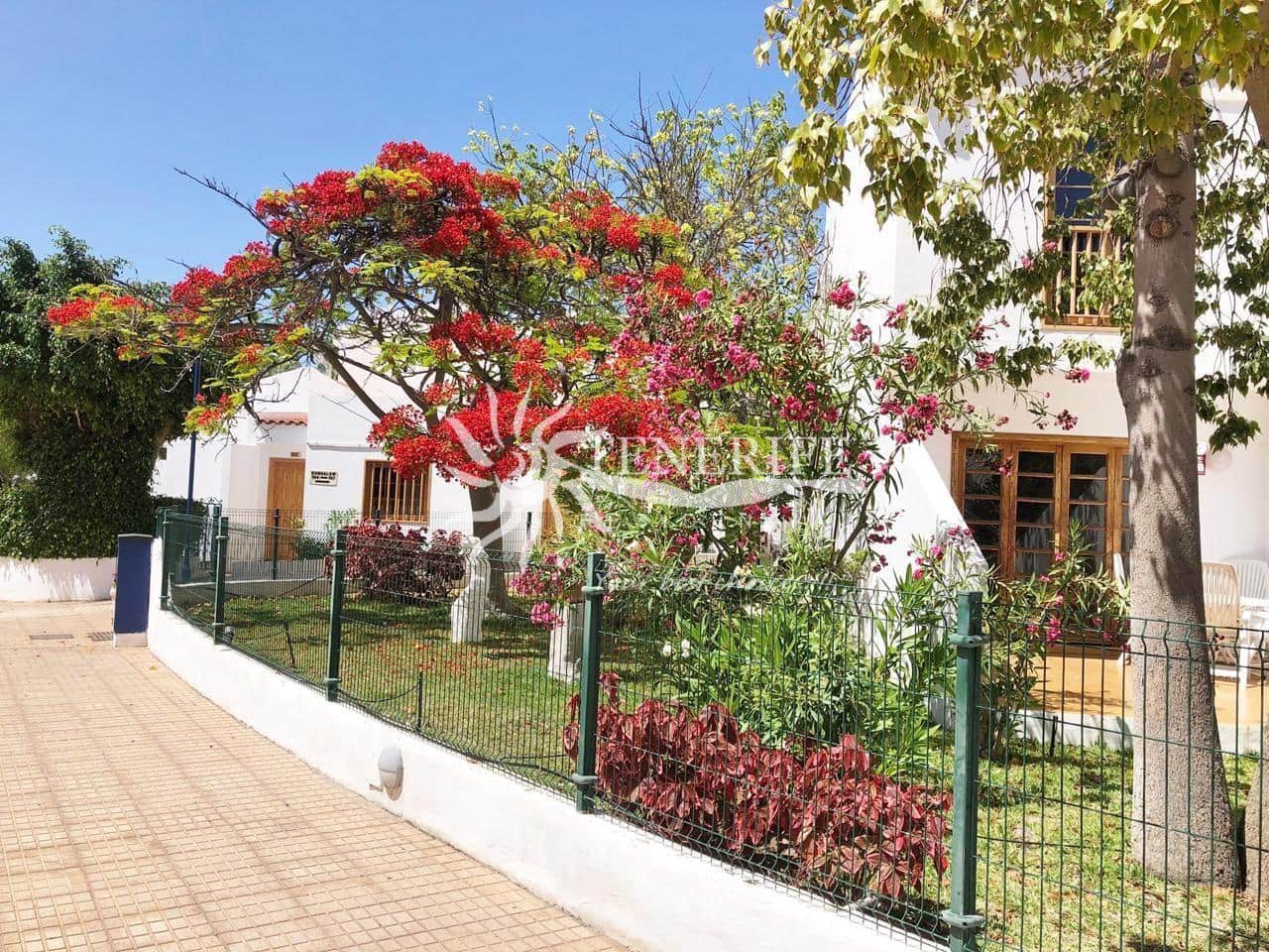 1 chambre Appartement à vendre à Costa Adeje - 320 000 € (Ref: 9733854)