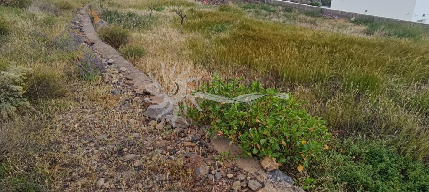 Teren niezagospodarowany na sprzedaż w Acojeja - 316 000 € (Ref: 9793829)